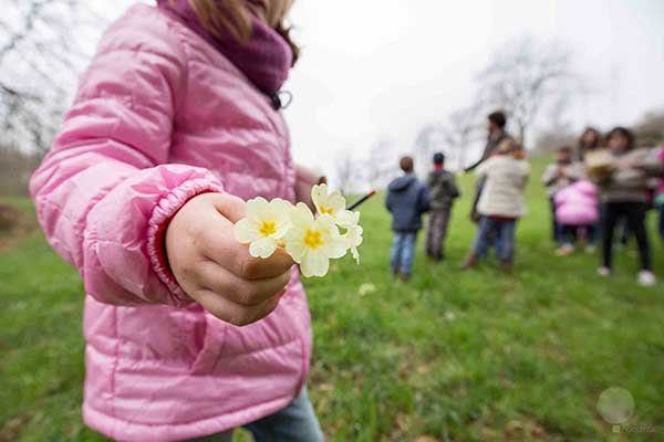 Immagine di bambini in un orto botanico