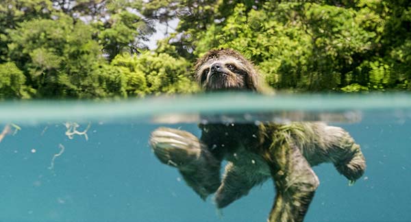 Immagine tratta dal documentario Earth, un giorno straordinario. Kochmedia