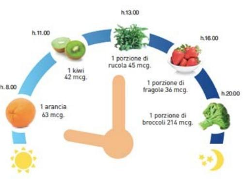 Immagine che descrive quali alimenti e in quali orari vanno assunti per garantire il giusto apporto di acido folico