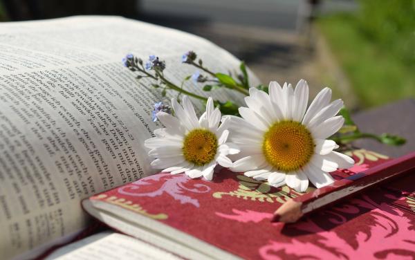 Il Maggio dei Libri 2016: immagine di libri e fiori