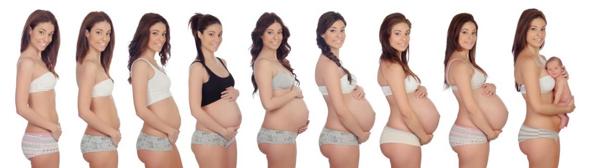 Modificazioni posturali in gravidanza