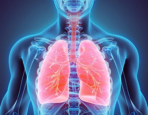 Immagine dei polmoni