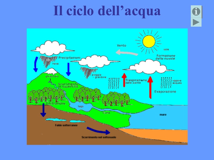 Immagine che descrive il ciclo dell'acqua