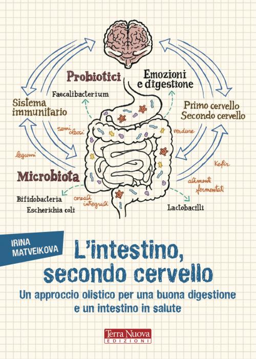 L'intestino, secondo cervello